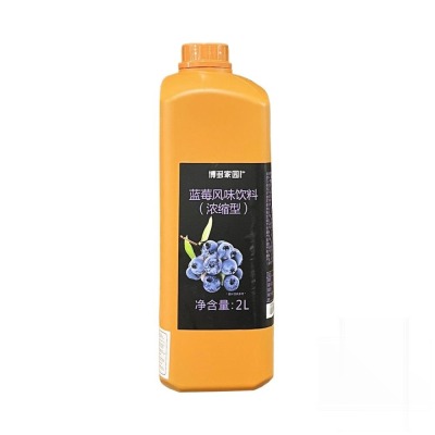 Syrup Boduo 2L Hương Việt Quất